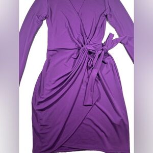 Lark & Ro Rich Purple long Sleeve Wrap Dress